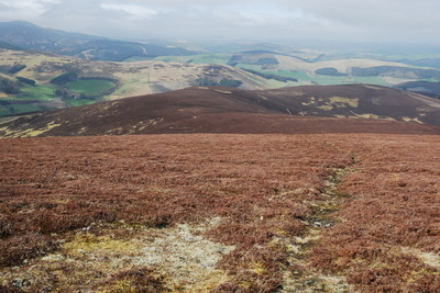 Walk photo