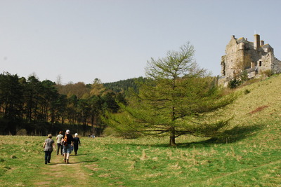 Walk photo