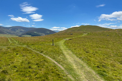 Walk photo
