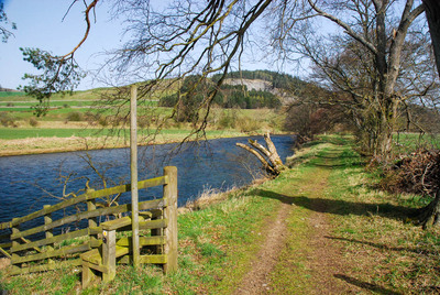 Walk photo