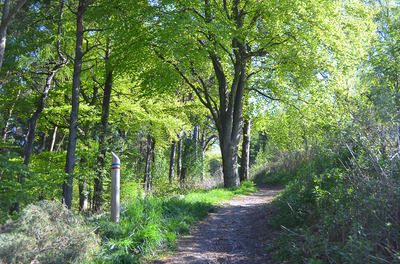 Walk photo