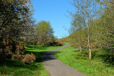 Walk photo