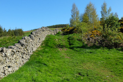 Walk photo