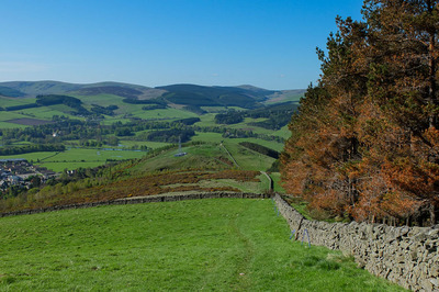 Walk photo