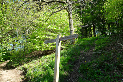 Walk photo
