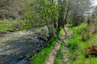 Walk photo