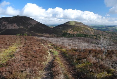 Walk photo