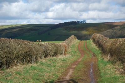 Walk photo