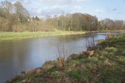 Walk photo