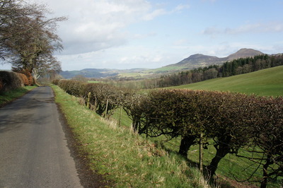 Walk photo