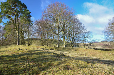 Walk photo