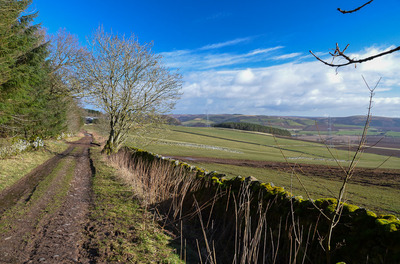 Walk photo