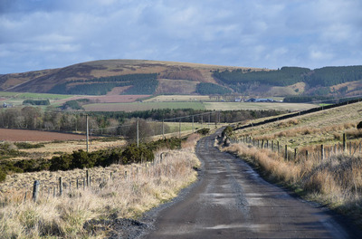 Walk photo