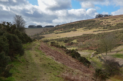 Walk photo