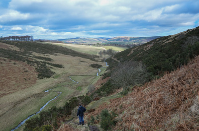 Walk photo