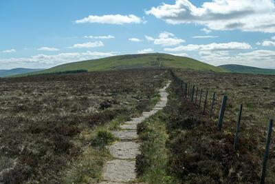 Walk photo