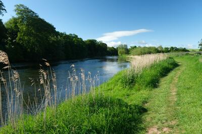 Walk photo