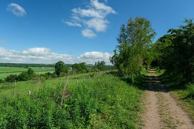 Walk photo