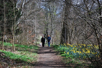 Walk photo