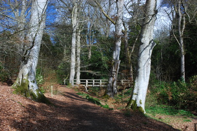 Walk photo