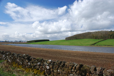 Walk photo