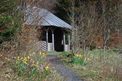Walk photo