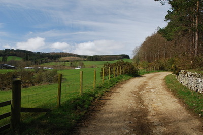 Walk photo