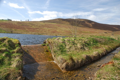 Walk photo