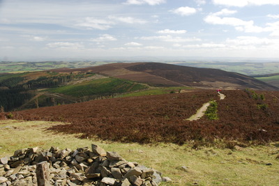 Walk photo