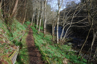 Walk photo