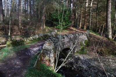 Walk photo