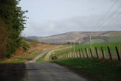 Walk photo