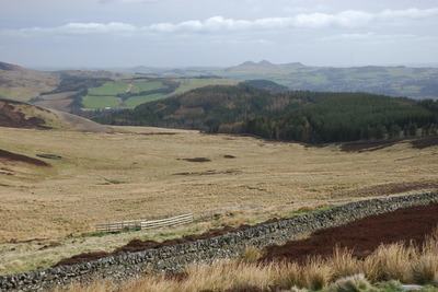 Walk photo