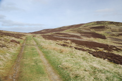 Walk photo
