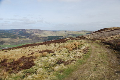 Walk photo