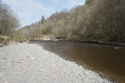 Walk photo