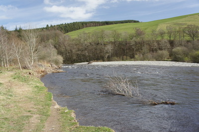 Walk photo