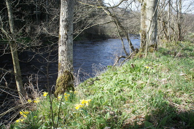 Walk photo