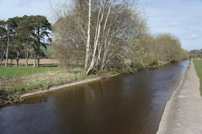 Walk photo