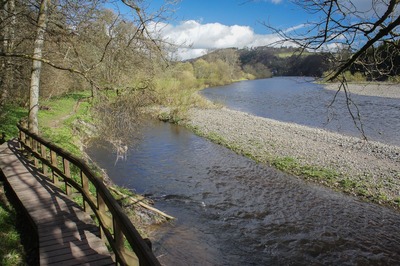 Walk photo