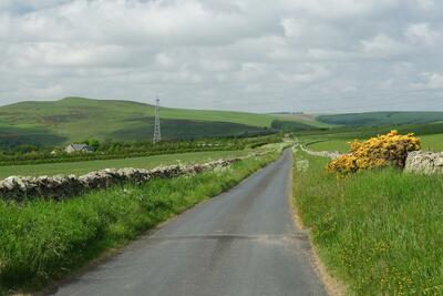 Walk photo