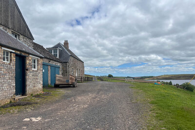 Walk photo