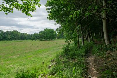 Walk photo