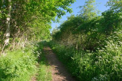 Walk photo