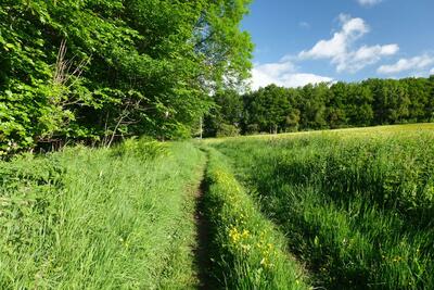 Walk photo