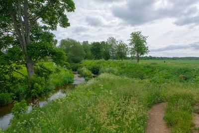 Walk photo