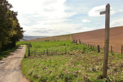 Walk photo