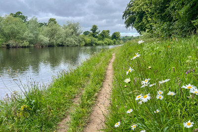 Walk photo