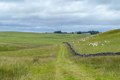 Walk photo