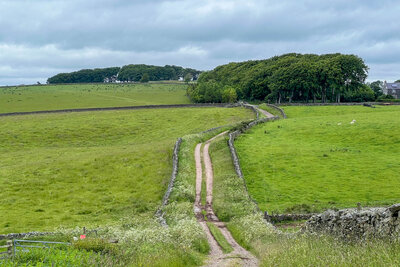 Southern Upland Way 10: Melrose to Lauder